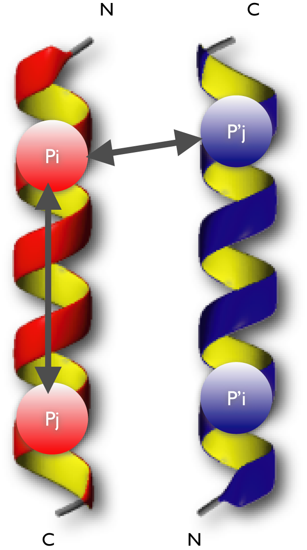 ambig-dimer